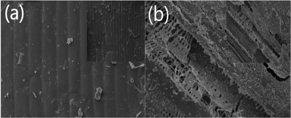 Preparation method and application of a high-toughness straw fiber-based grass-suppressing mulch film