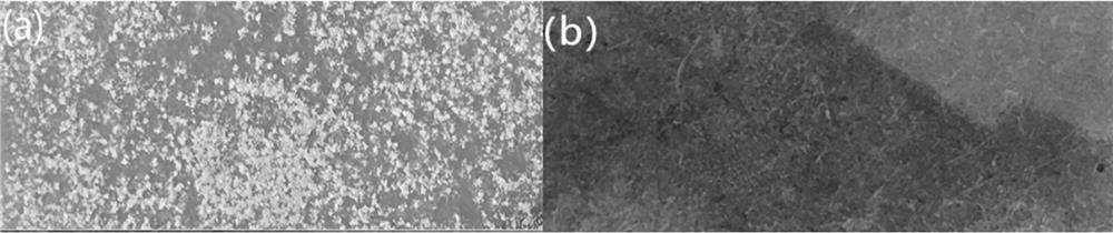 Preparation method and application of a high-toughness straw fiber-based grass-suppressing mulch film