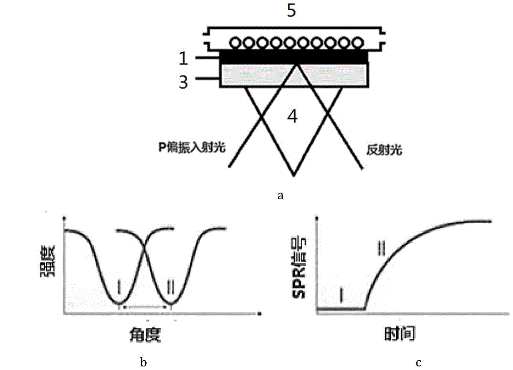 Chip for SPR bioreactor as well as preparation method and application of chip