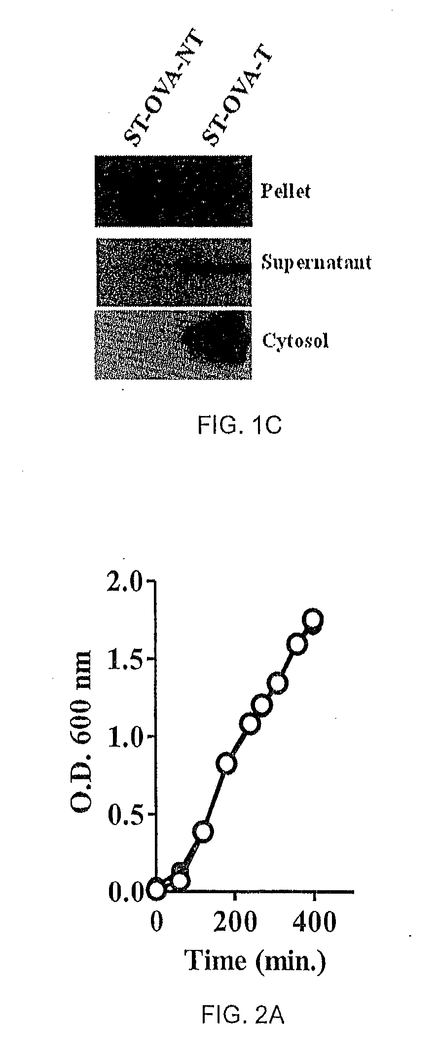 Recombinant Bacterium and Uses Thereof