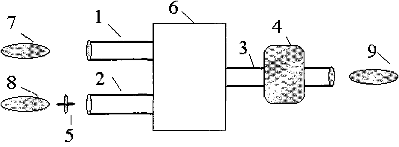 Respirator and oxygen concentration detection device and method