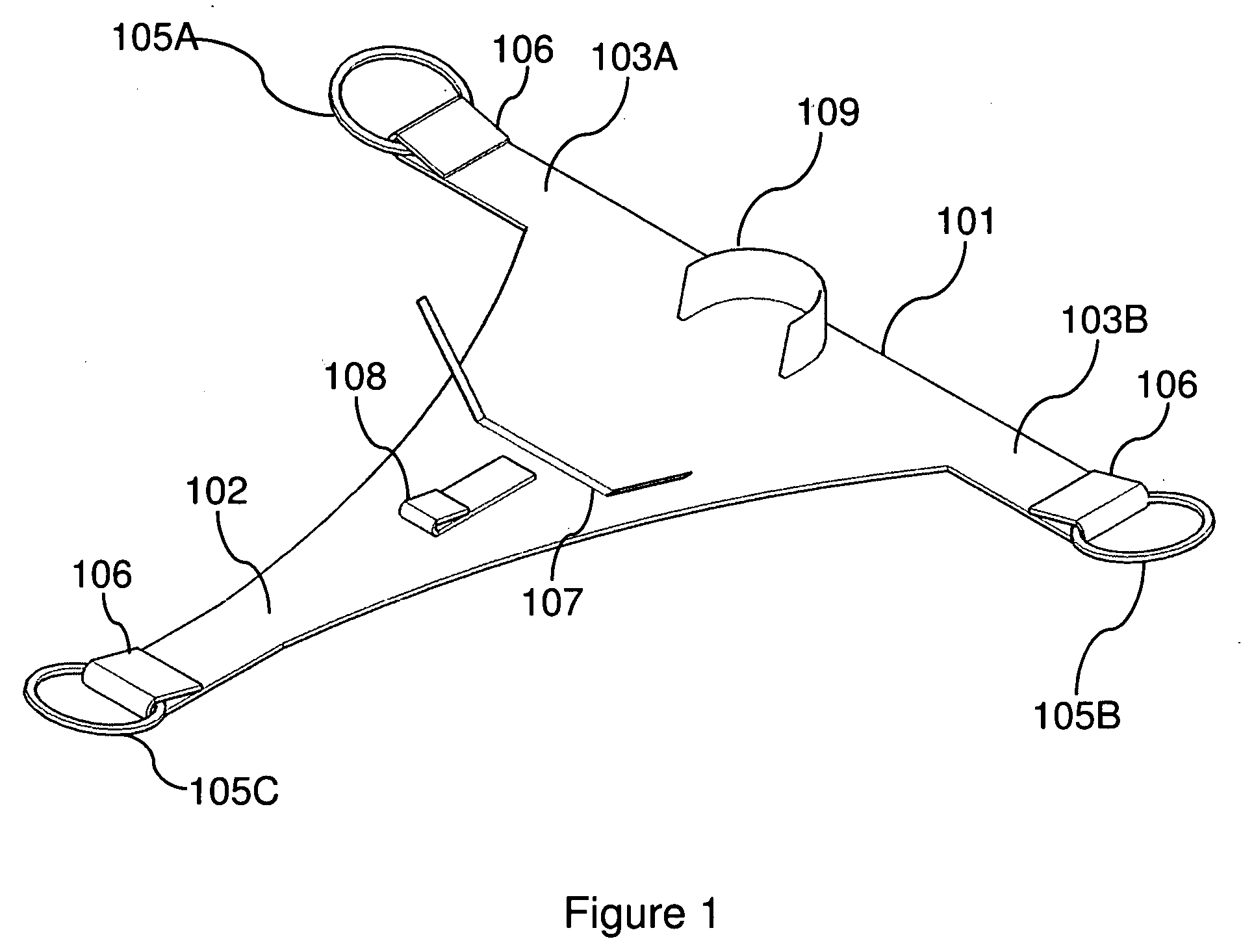 Modular infant carrier apparatus and method