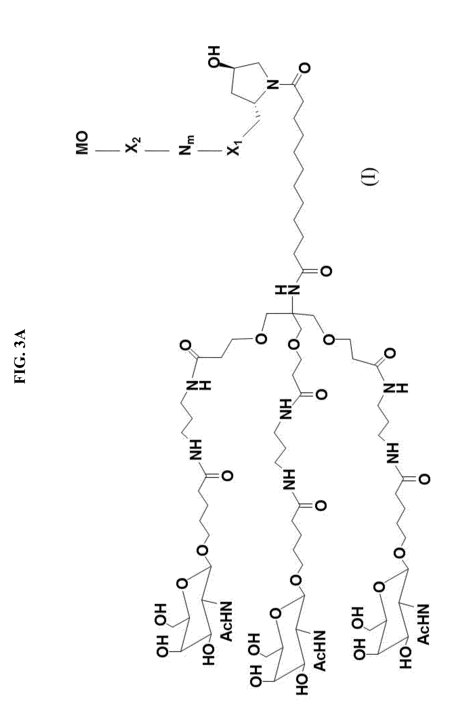 Microrna compounds and methods for modulating mir-122