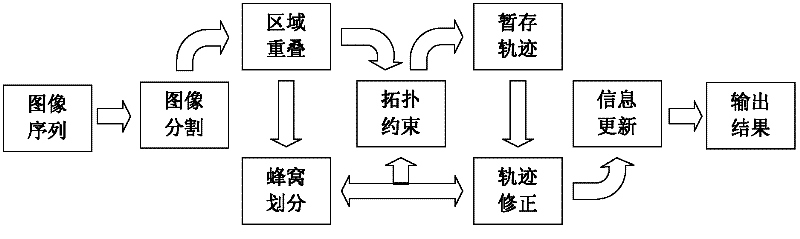 Cell tracking method based on correction by cellular partition combined with multi-frames and original image feedback