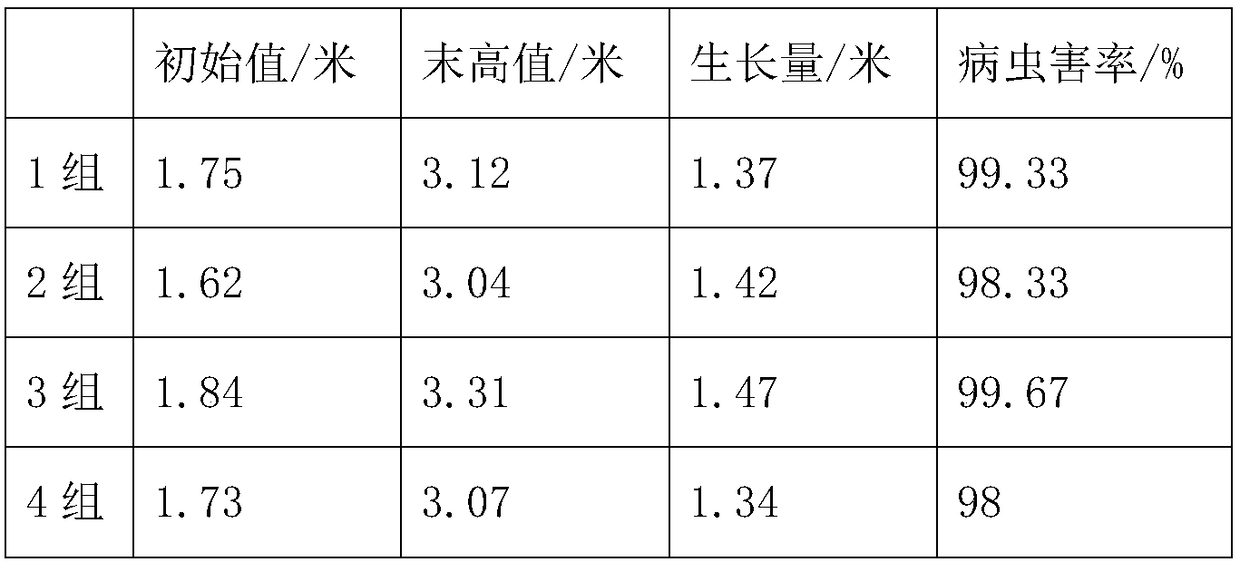 Special camphor growth fertilizer and preparation method thereof