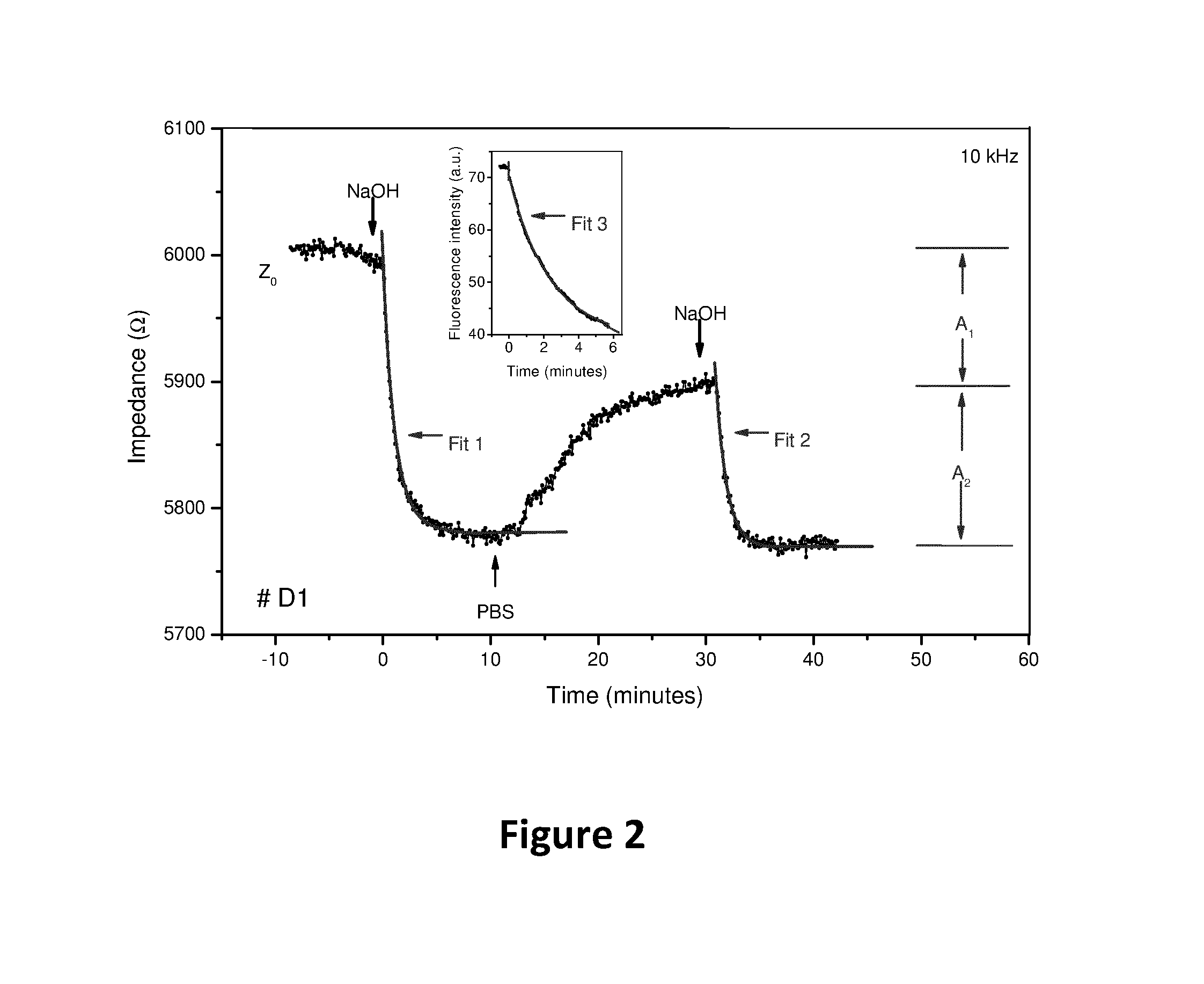 Biosensor Using Impedimetric Real-Time Monitoring