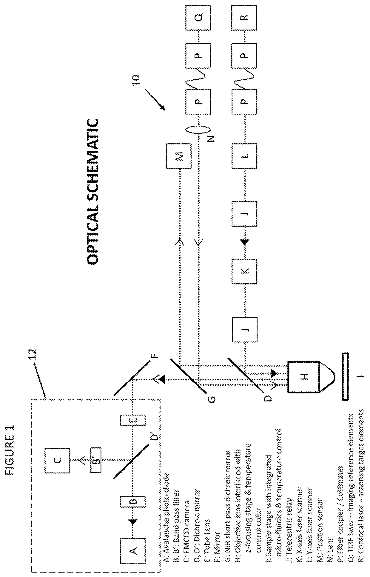 An optical microscope