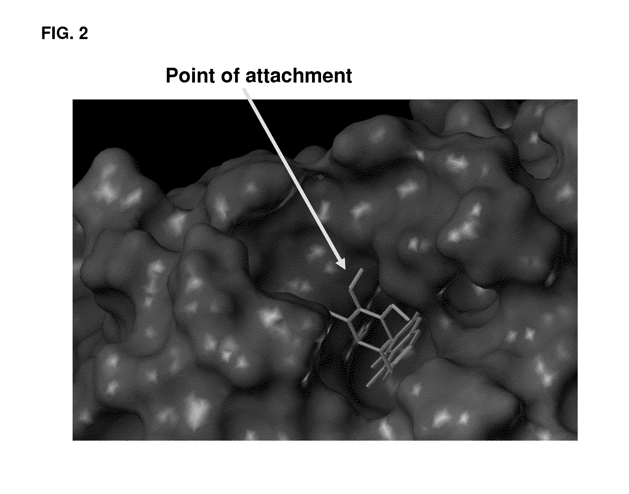 Enzyme and receptor modulation