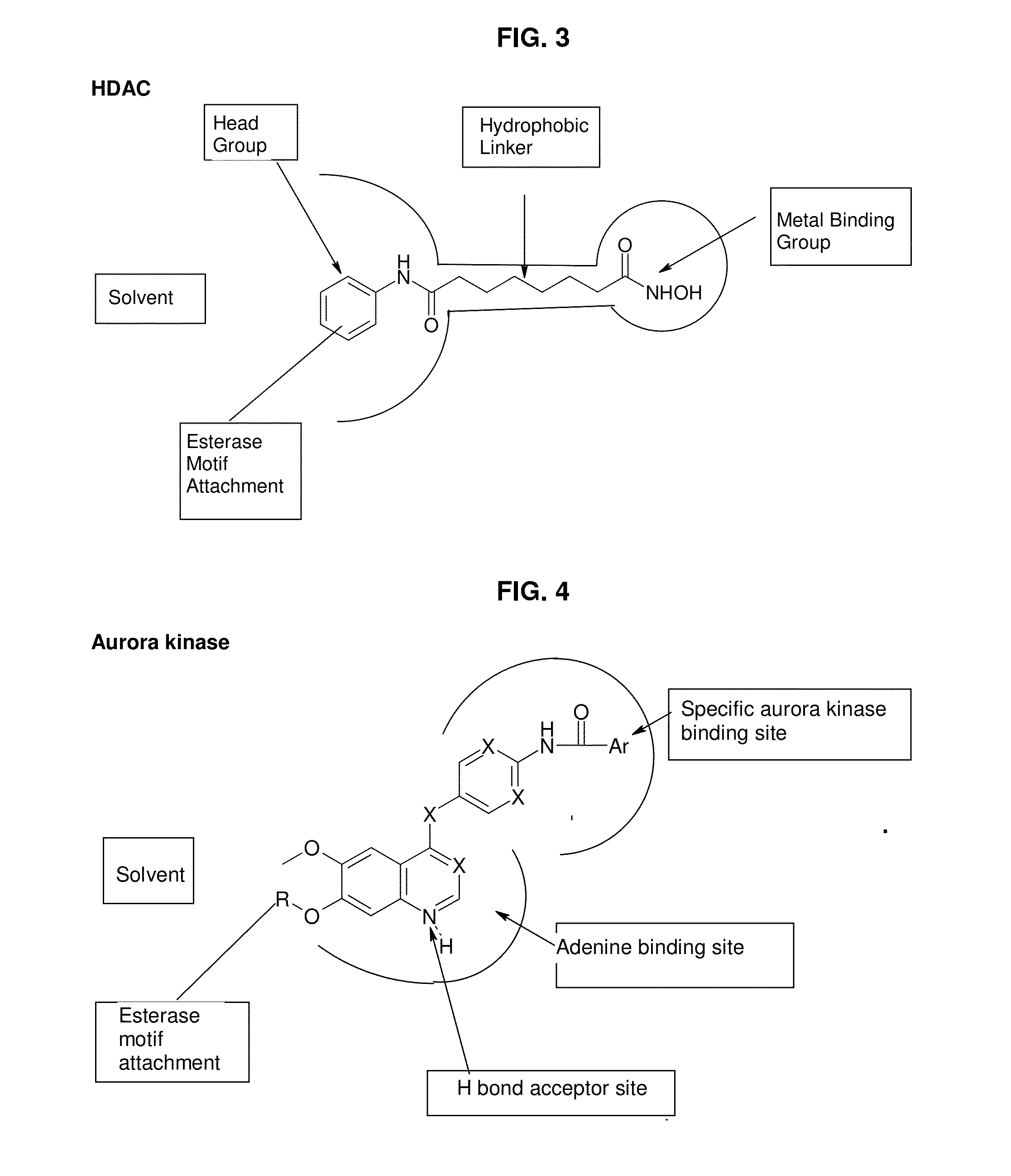 Enzyme and receptor modulation