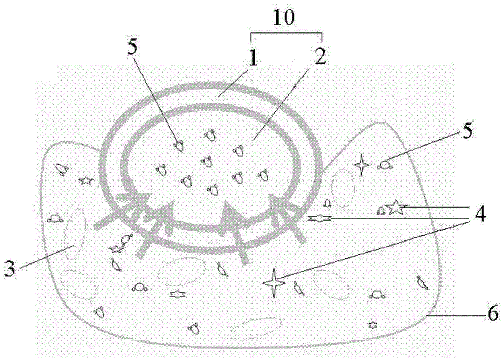 Hemostatic Vacuum Device and Hemostatic Vacuum Scalpel