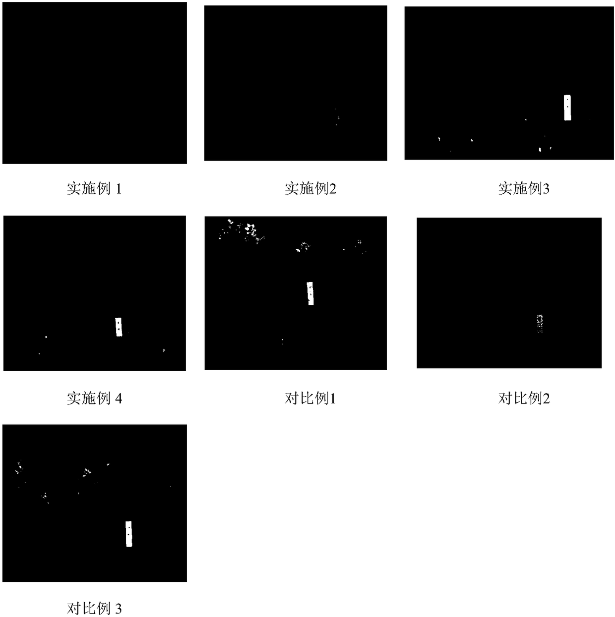 60Co gamma-ray radiation dwarfing method for narcissus tazetta chinensis 'Jinzhanyintai'