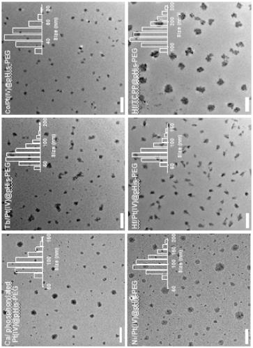 A kind of polyethylene glycol modified metal-organic nanomaterial and its preparation method and application