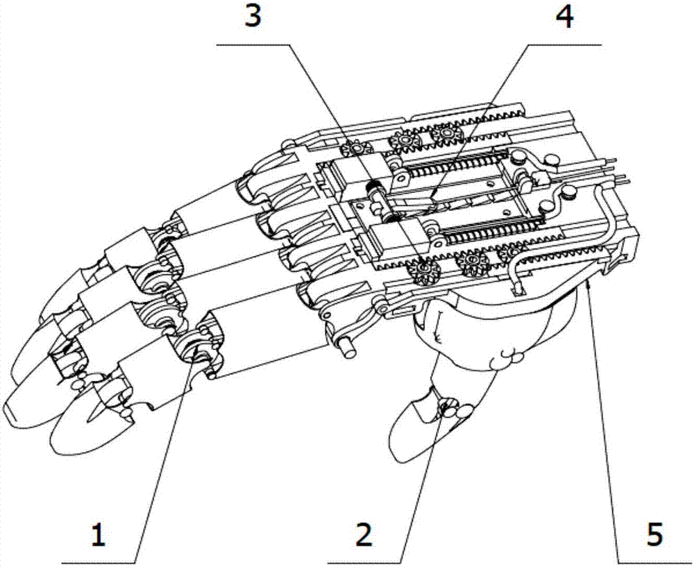 An Underactuated Adaptive Humanoid Manipulator