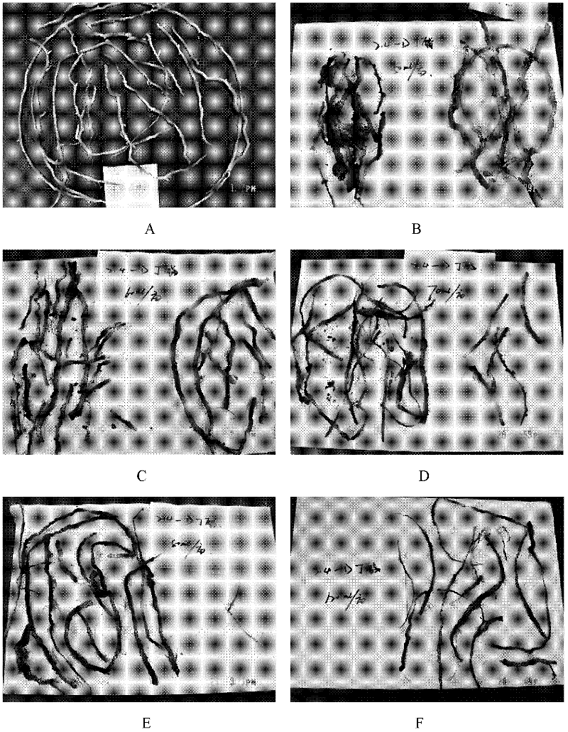 Method by utilizing 2, 4-D butyl ester to control perennial weeds in soybean field