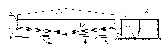 Water and fertilizer treatment system of drip irrigation under plastic film on rice