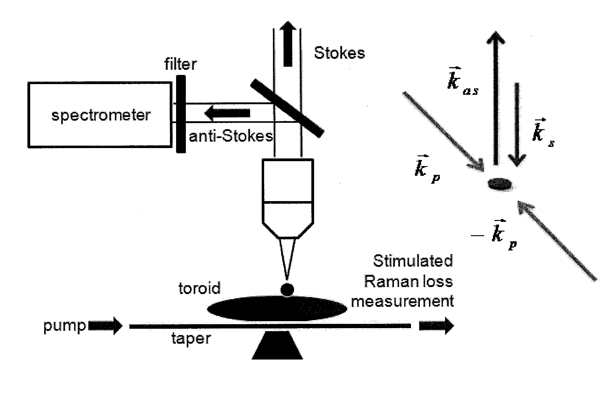 Resonator Enhanced Raman Spectroscopy