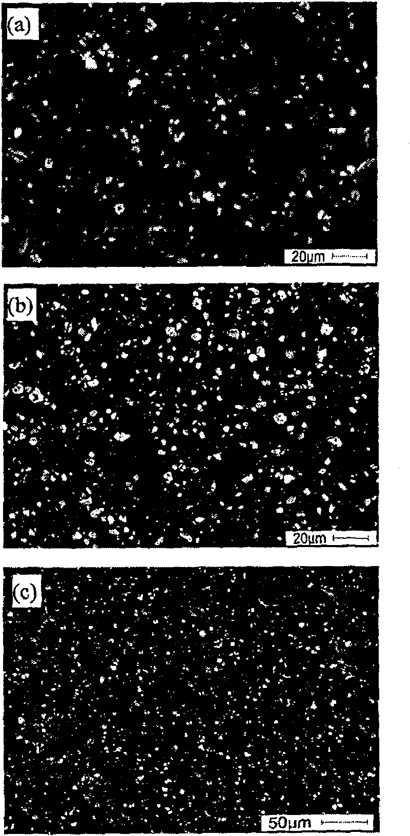 Method of continuous casting particulate reinforced metal matrix composites on different frequency multi-electromagnetic field