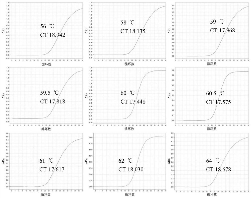 African swine fever virus detection kit and detection method based on k196r gene