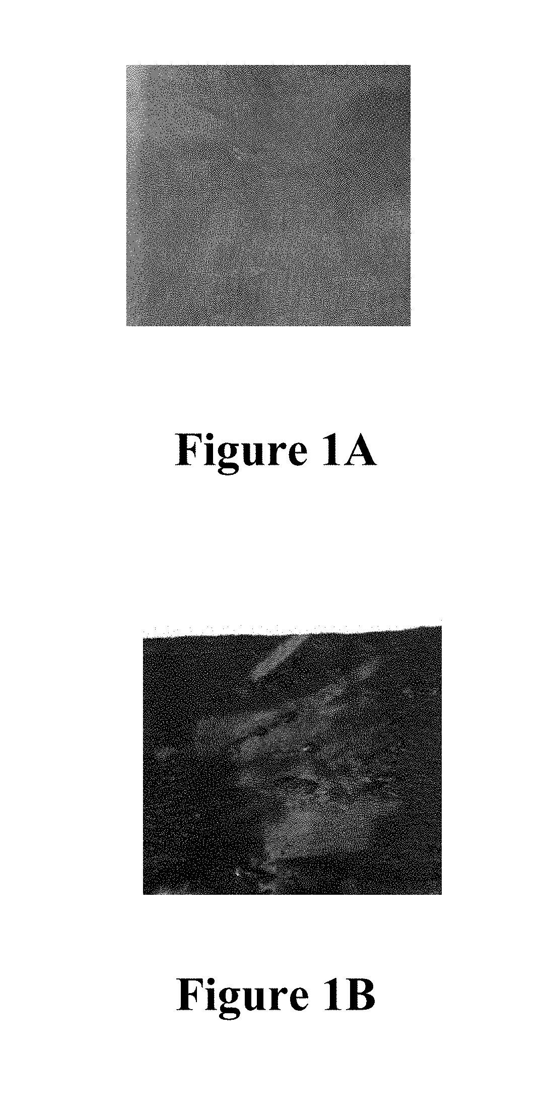 Thermochromic apparel for detecting physical exhaustion and process for preparation thereof