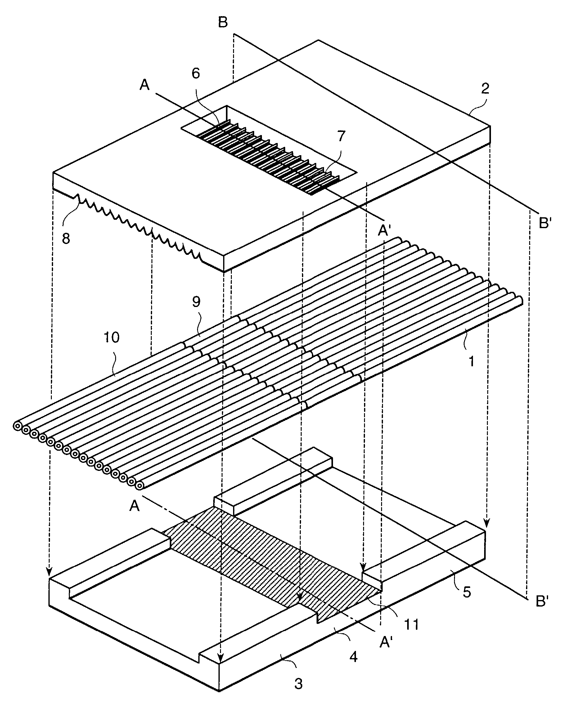 Capillary array unit electrophoretic device comprising the same