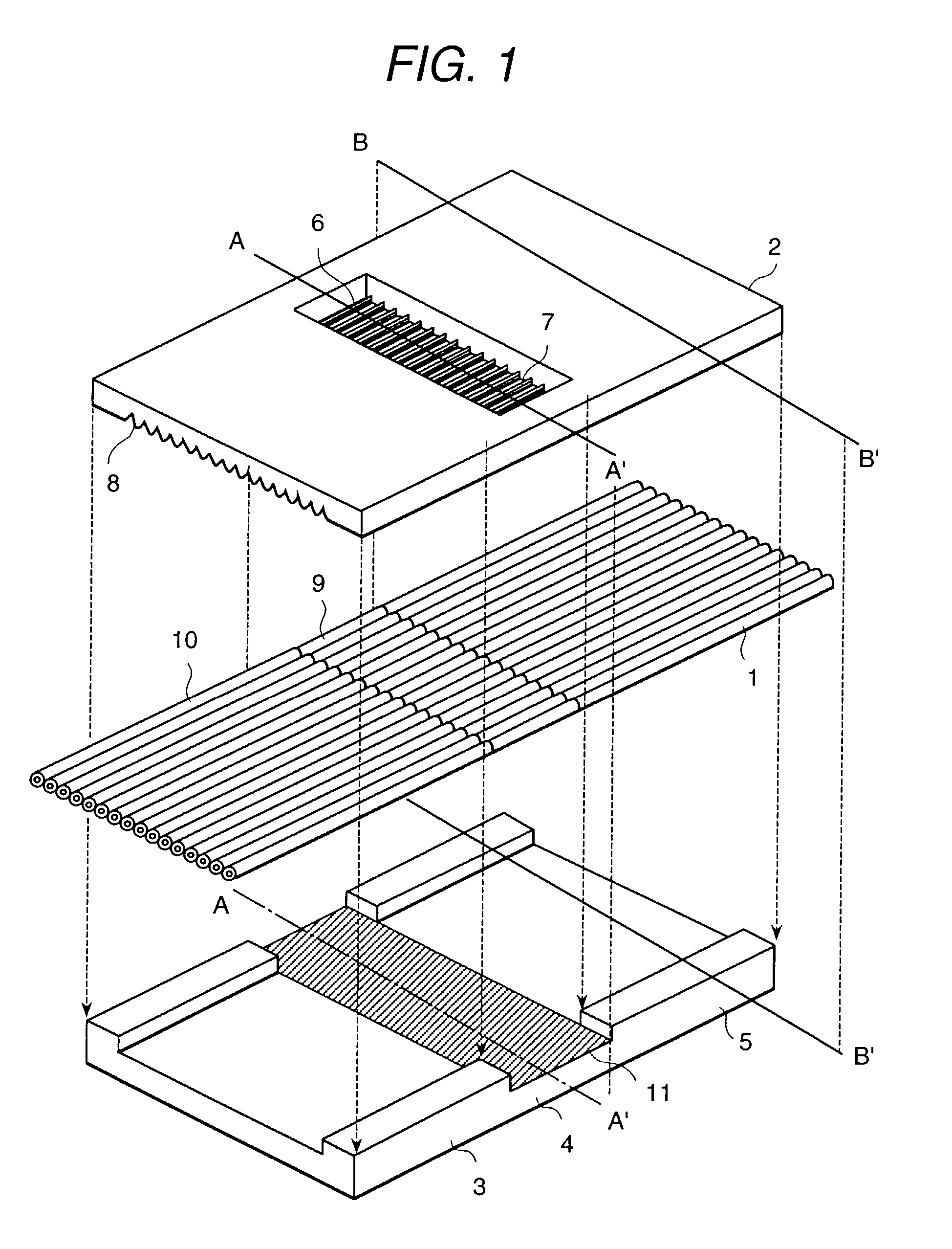 Capillary array unit electrophoretic device comprising the same