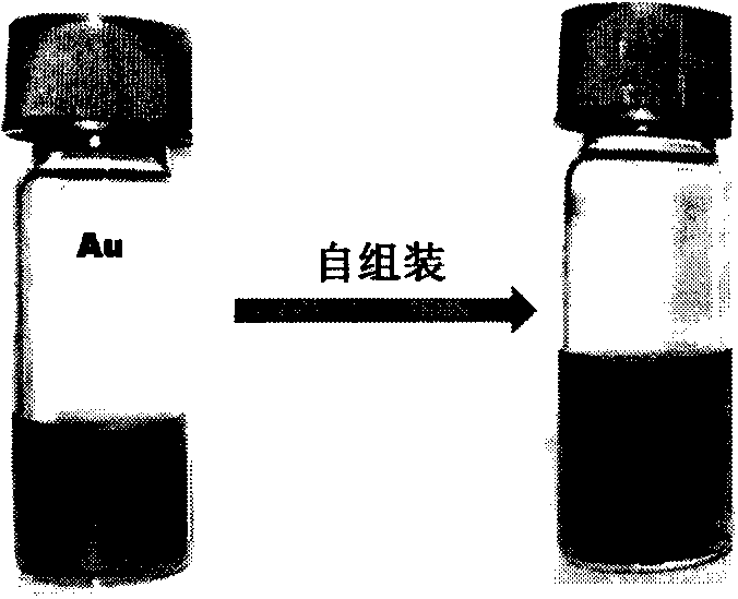 Self-assembly preparation of one-dimensional nano-structure