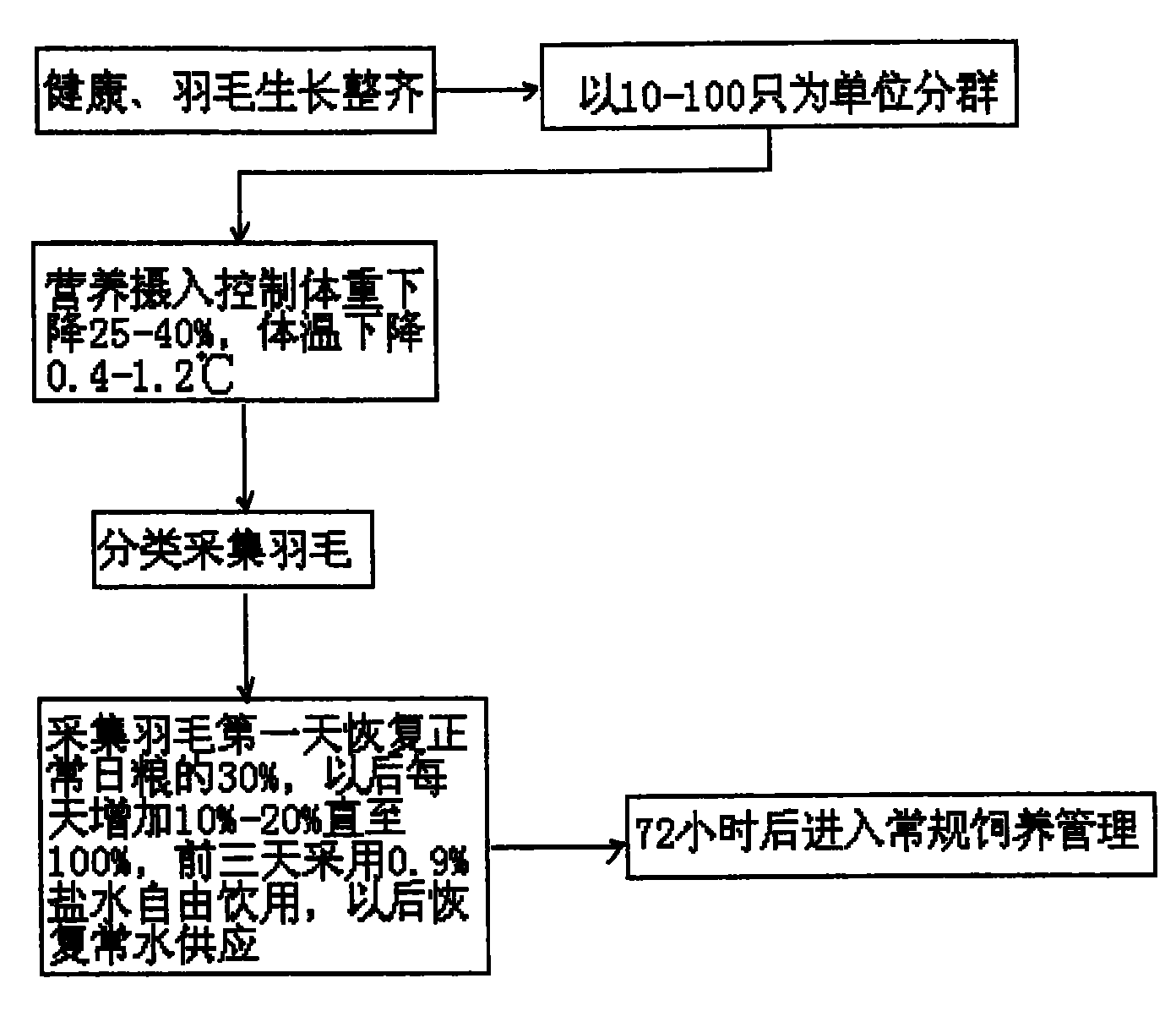 Method for gathering goose feather with artificial nutrition interference