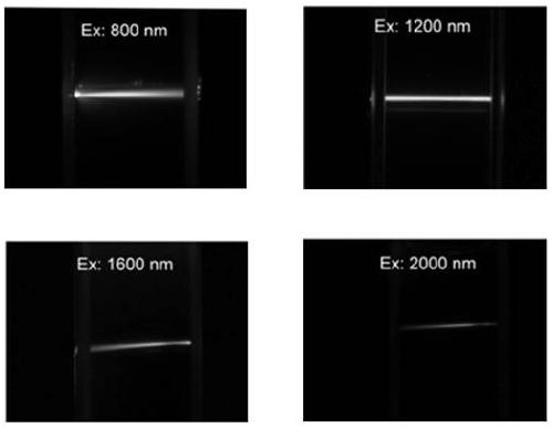 Method for large-scale preparation of high-efficiency red/near-infrared emission fluorescent carbon dot