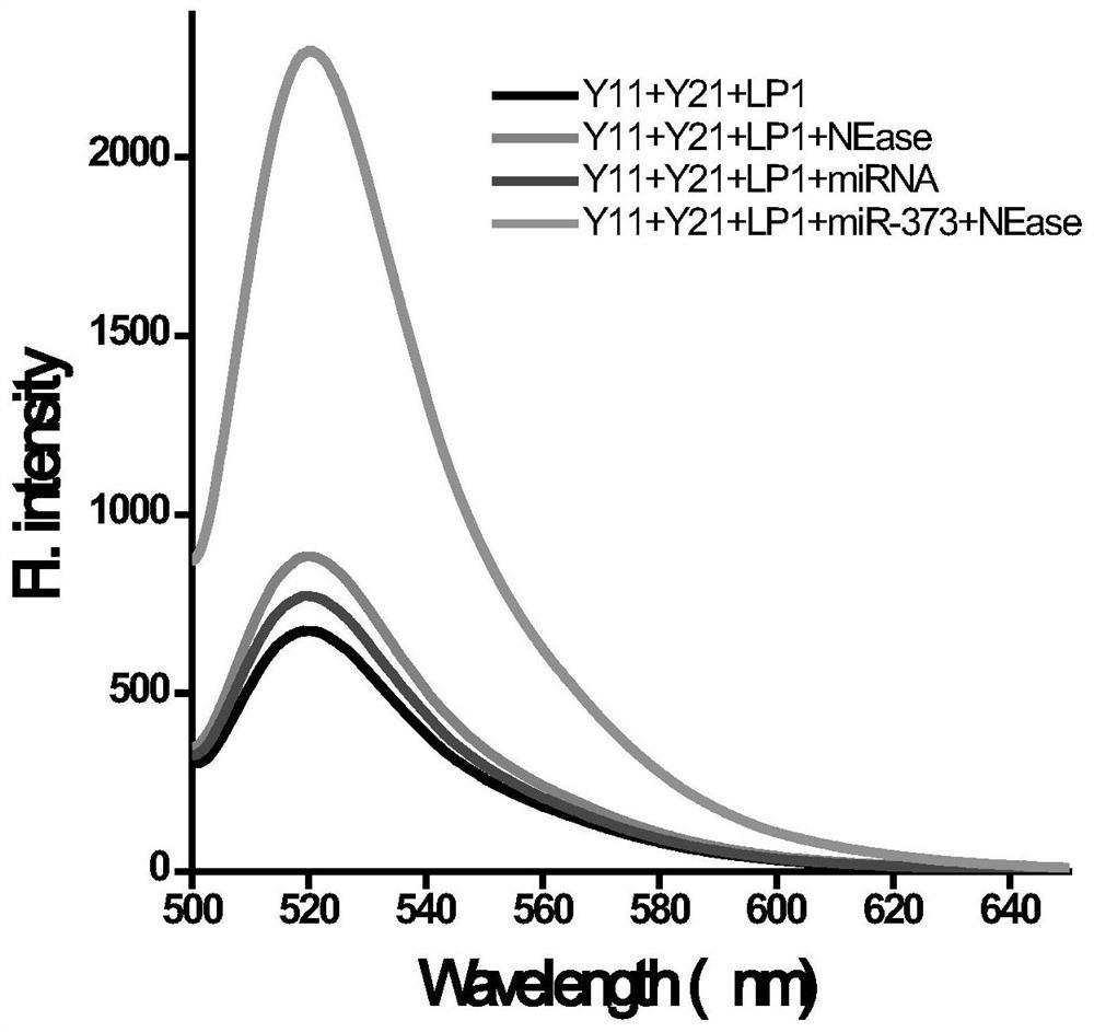 A probe and method for simultaneous detection of multiple microRNAs under constant temperature conditions based on DNA assembly