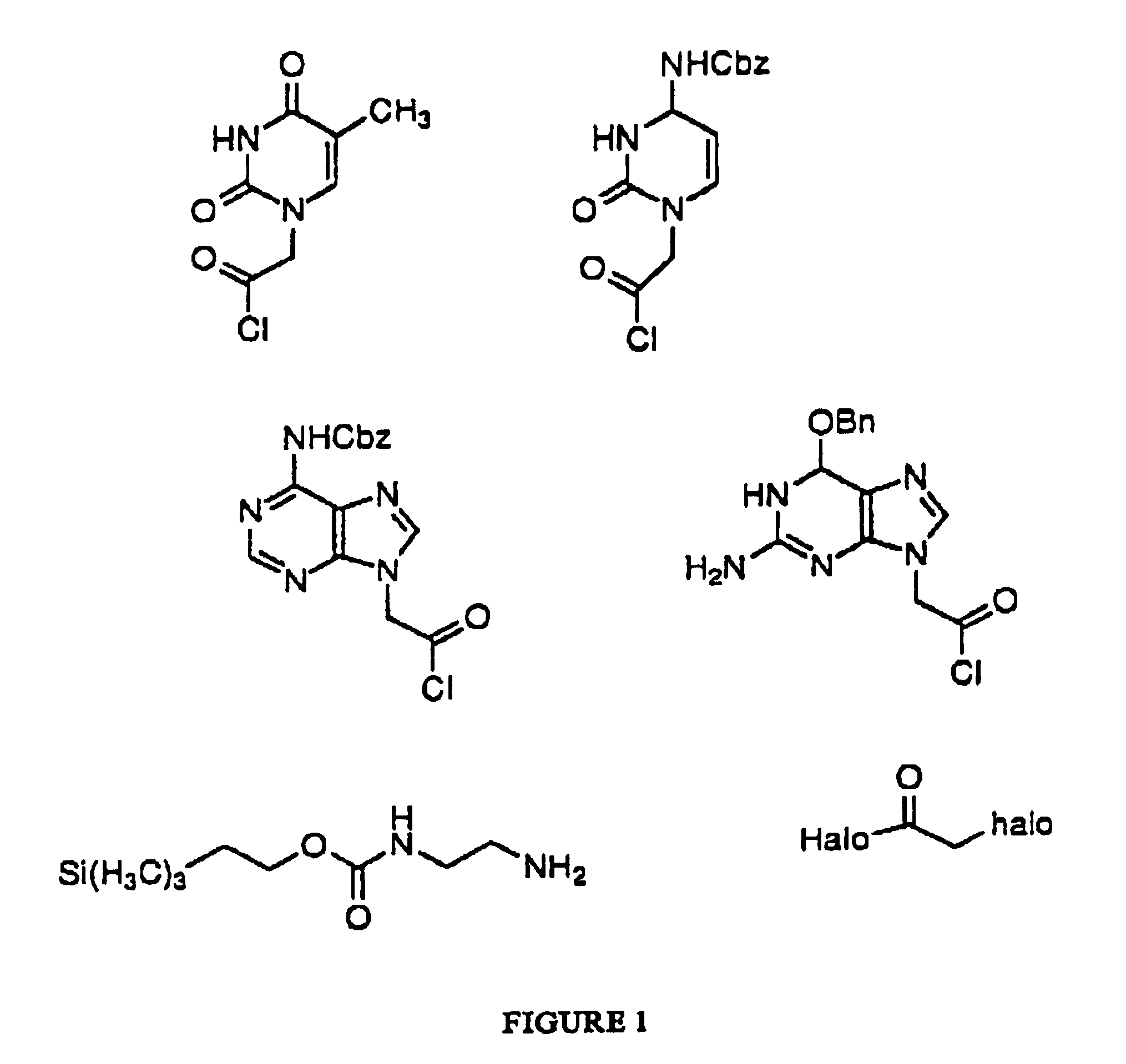 Peptide nucleic acid combinatorial libraries and improved methods of synthesis