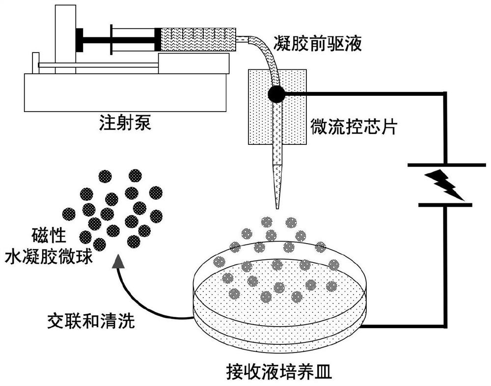 A kind of magnetic hydrogel device and its preparation method and application