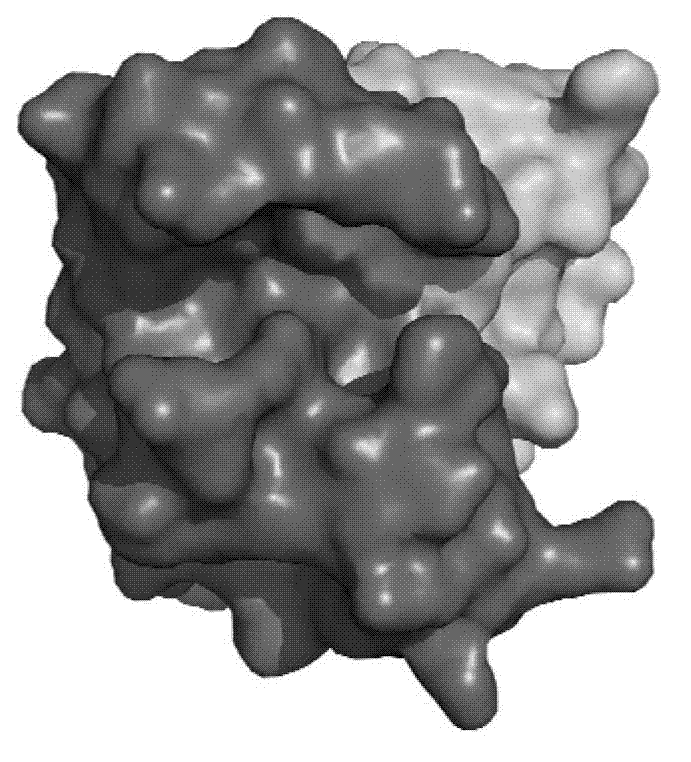 Crystal structure of enterovirus 71 type 2A protease and application of crystal structure in drug design