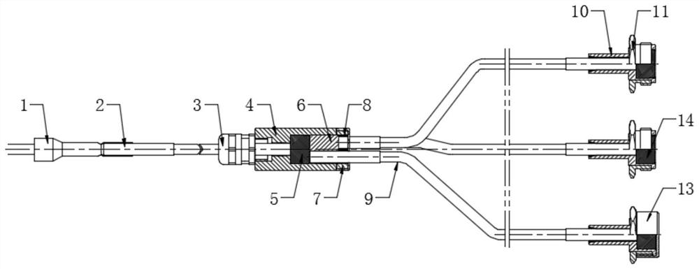 Multi-point delayed detonation network based on detonation wave transmission