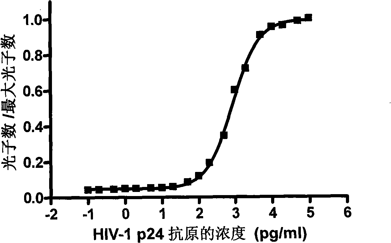 HIV-1 p24 antigen acridine ester chemiluminescence immune analyse detecting method