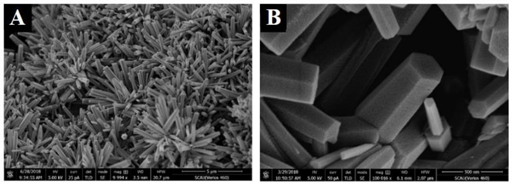 A dual-mode separation immunosensor based on enzyme-induced bioetching and its preparation method