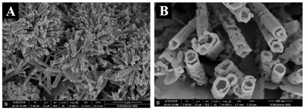 A dual-mode separation immunosensor based on enzyme-induced bioetching and its preparation method