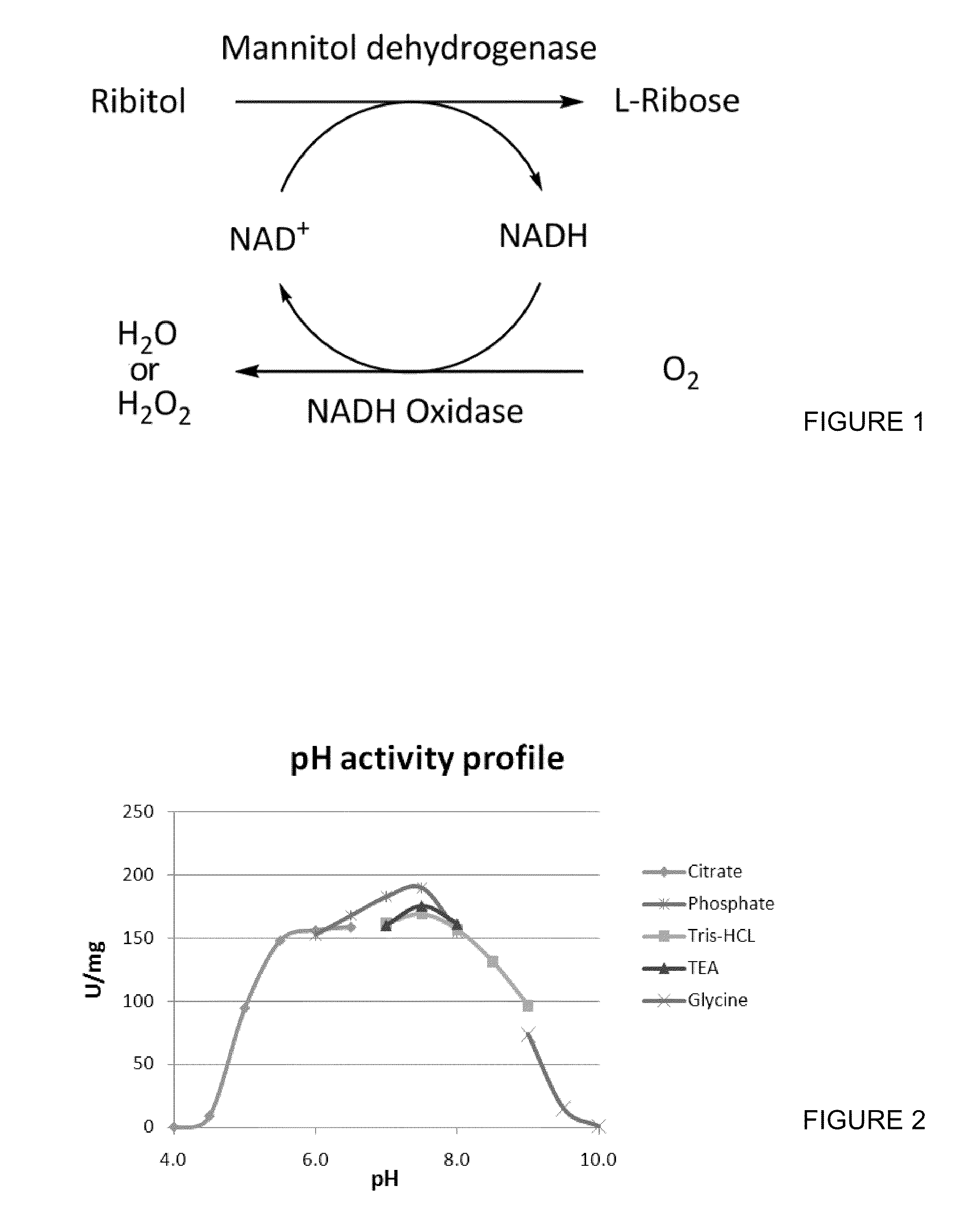 Compositions and methods for using nadh oxidases