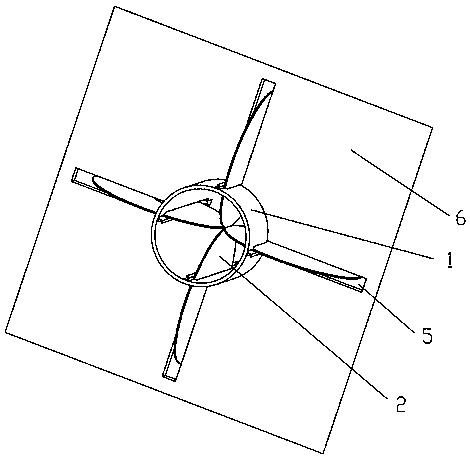 A kind of freeze-dried pomelo tea and processing method thereof