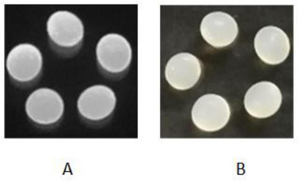 Preparation method and application of cellulose fluorescent spheres