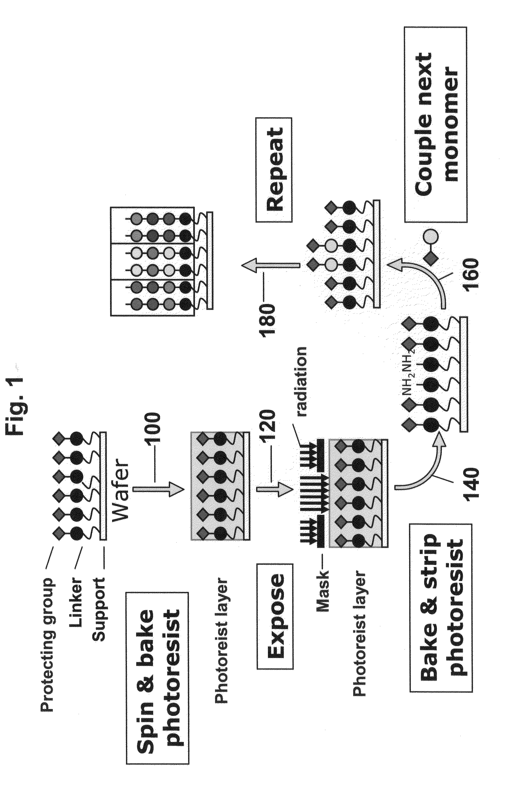 High density peptide arrays containing kinase or phosphatase substrates