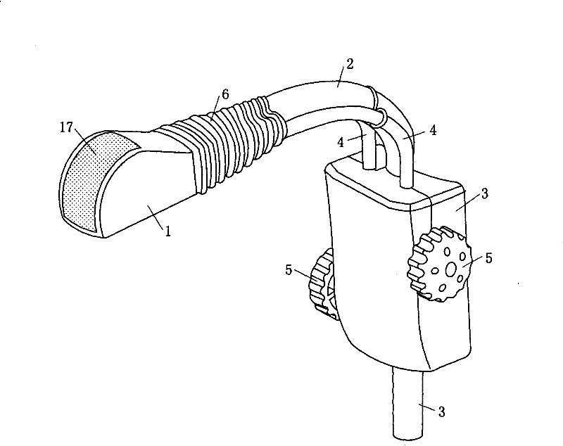 Ultrasonic probe inside vagina with changeable detection direction and device