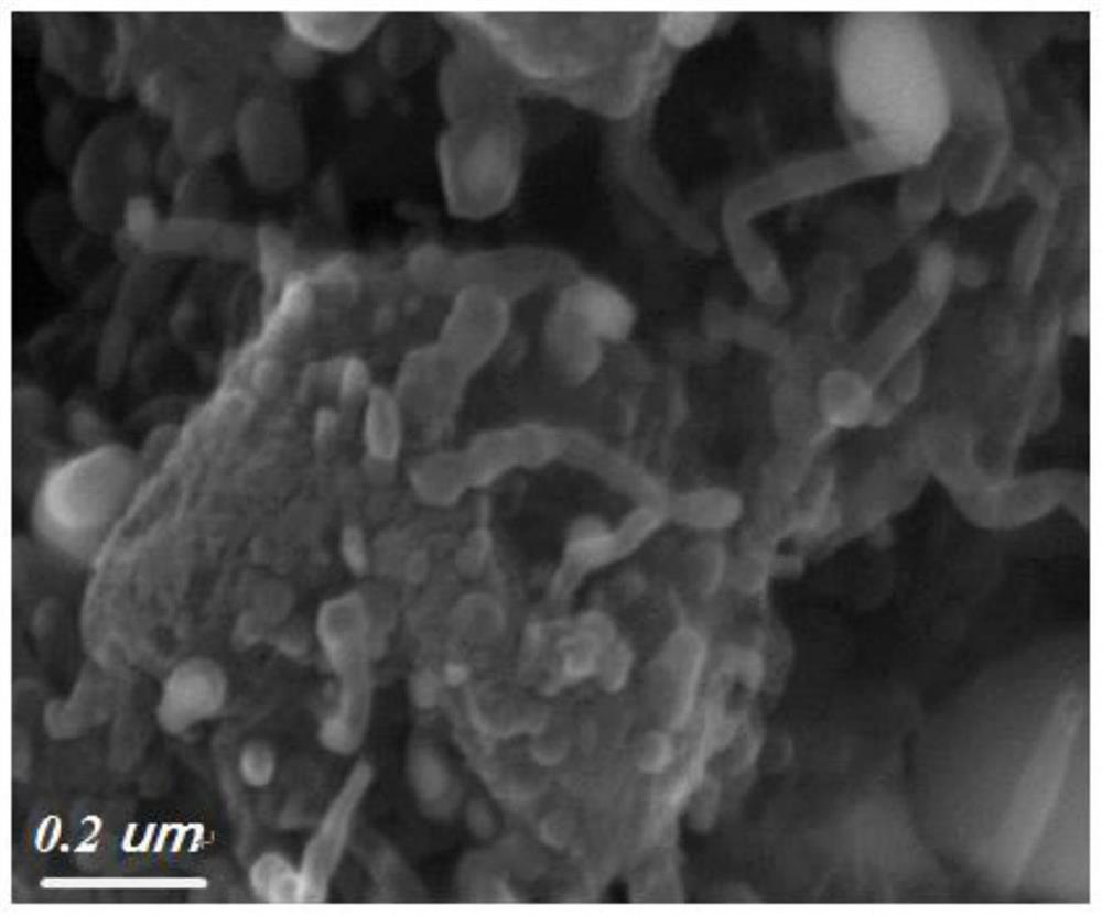 Preparation method and application of a cobalt-iron bimetallic organic framework derived carbon material