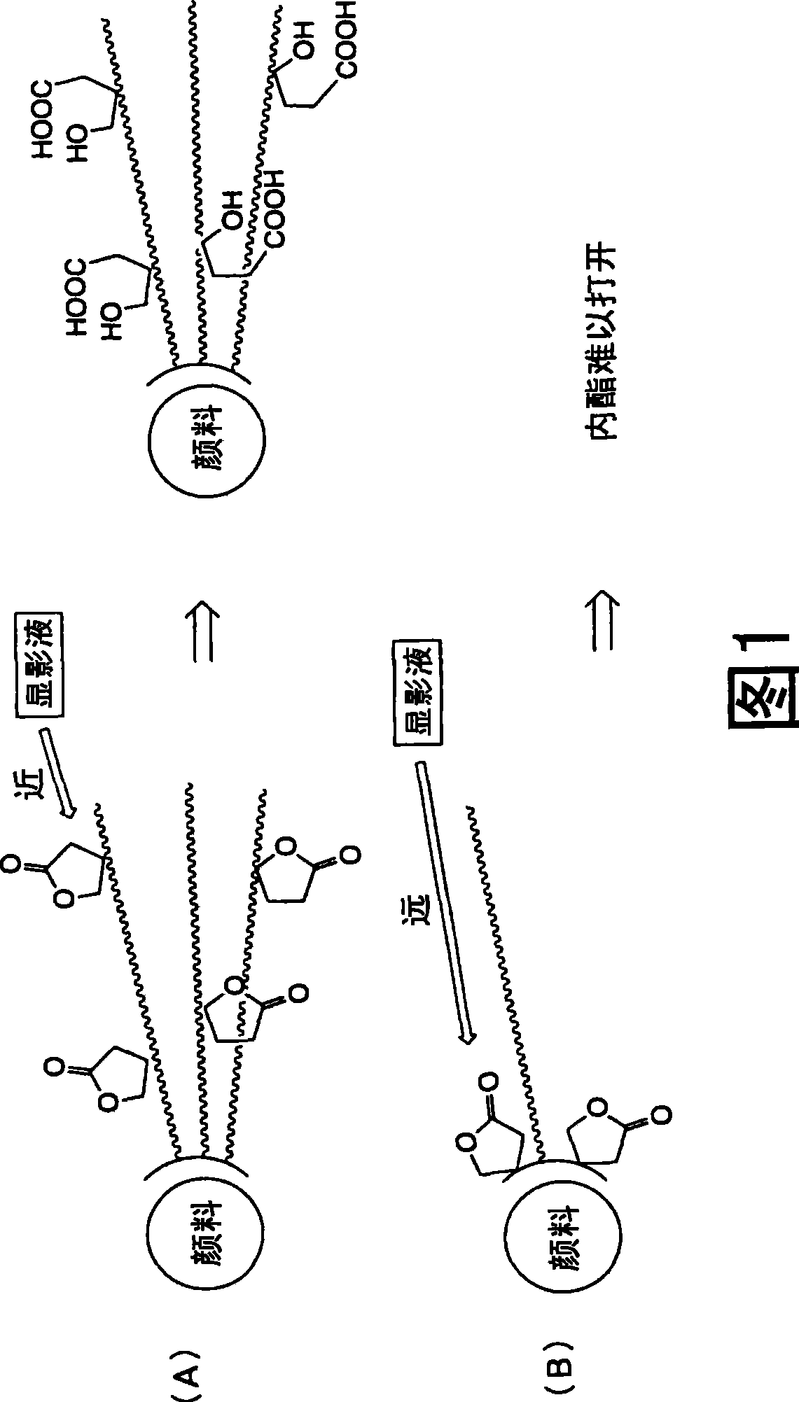 Pigment dispersion composition, photocurable composition, color filter and manufacture method thereof, liquid crystal display element and solid imaging element