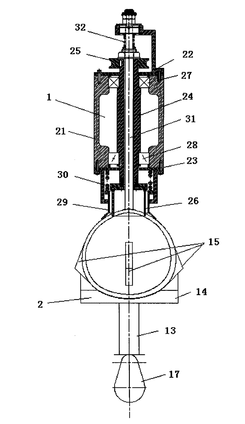 Coconut rice and production method thereof