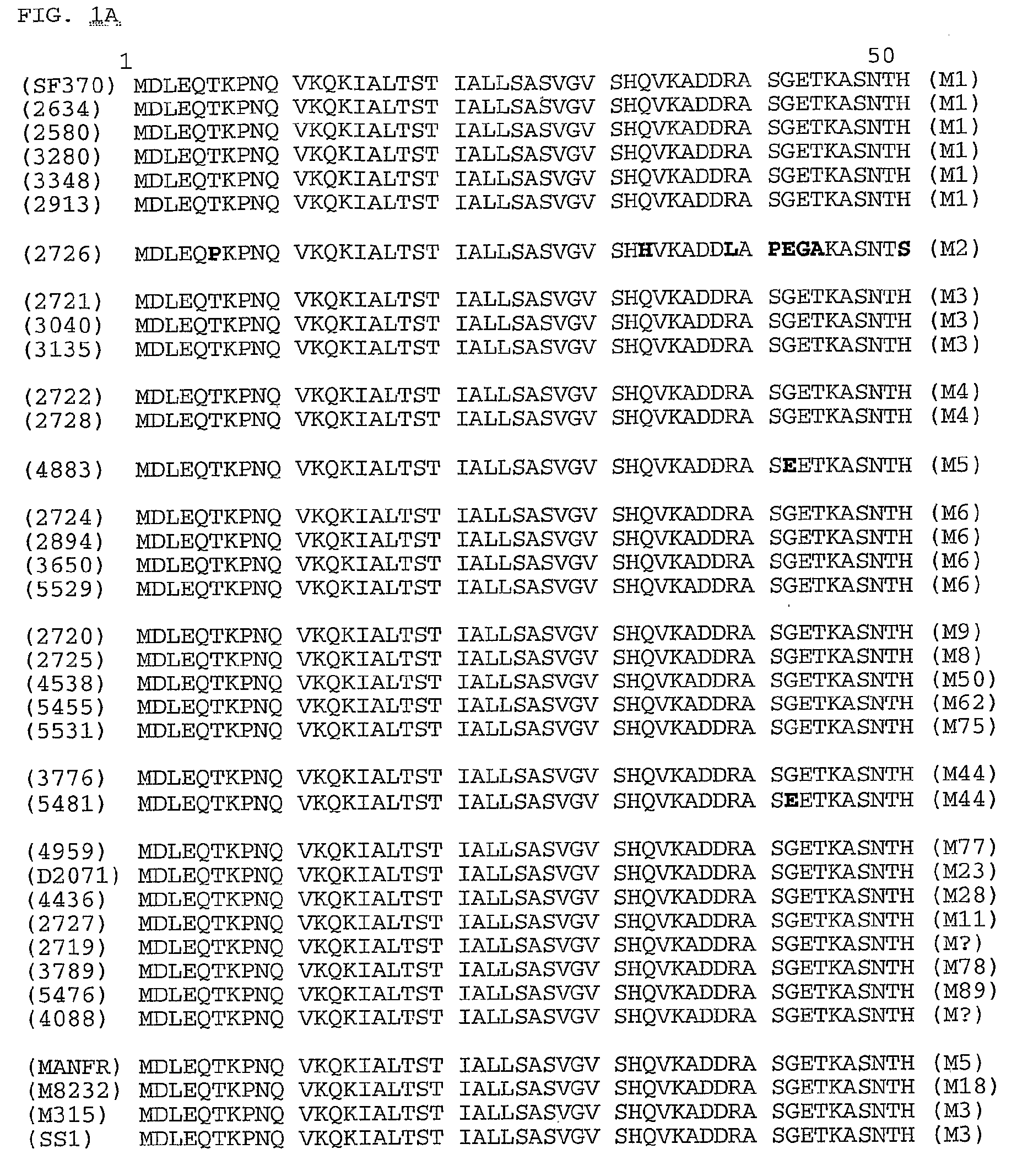 Immunogenic And Therapeutic Compositions For Streptococcus Pyogenes