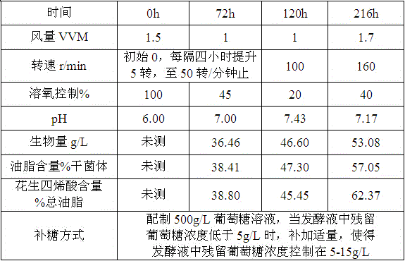 A method for producing arachidonic acid oil by regulating the fermentation of Mortierella alpina based on dissolved oxygen