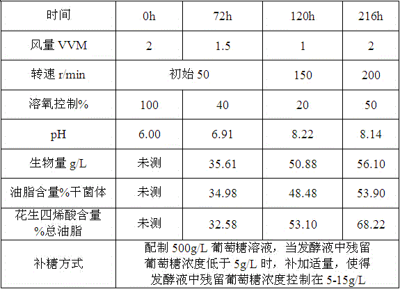 A method for producing arachidonic acid oil by regulating the fermentation of Mortierella alpina based on dissolved oxygen