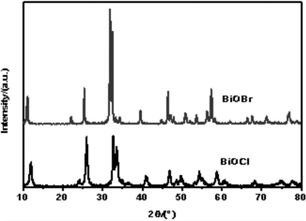 BiOXs pholocatalyst, grapheme-compounded BiOXs pholocatalyst and preparation method thereof