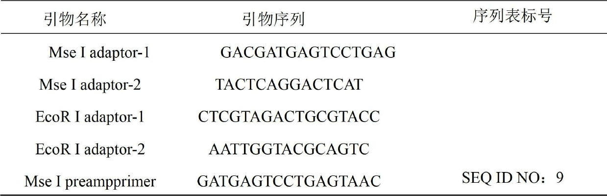 Method for identifying Chinese prawn population by using AFLP (Amplified Fragment Length Polymorphism) fingerprint technique