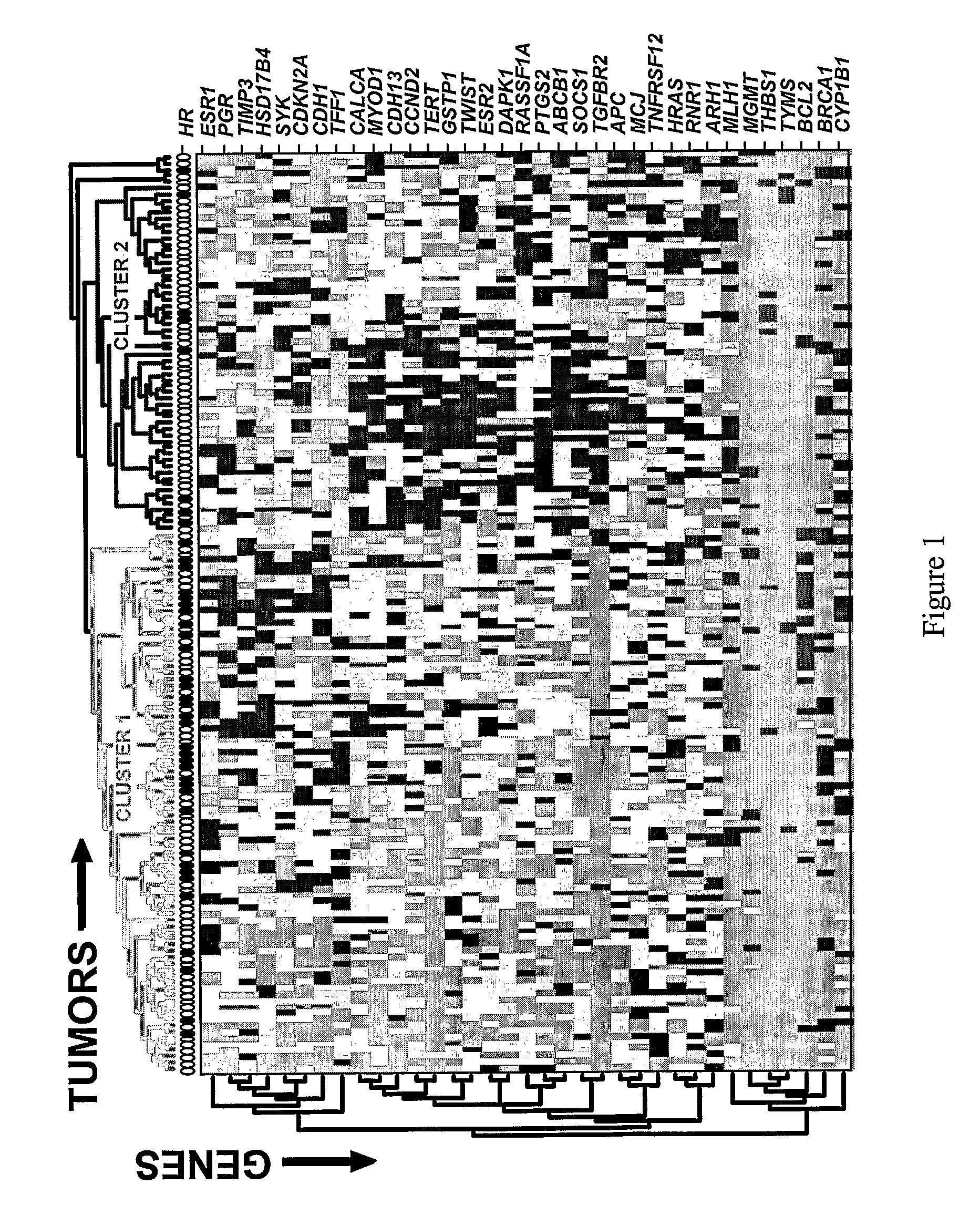 Association of the DNA methylation profile of the CYP1B1 gene with response to adjuvant therapy in breast cancer